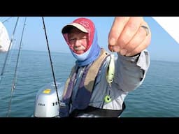 Perch Fishing using artificial baits