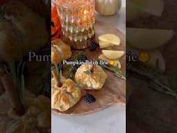 Pumpkin Brie Bites 🎃⚪️ #pumpkin  #snackideas #hosting #cheese