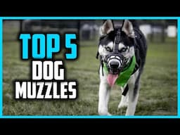 ✅Top 5 Best Dog Muzzles in 2025