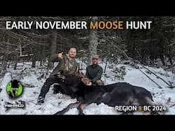 Early November Moose Hunt British Columbia Region 8