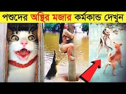 পশুদের মজার কর্মকান্ড ক্যামেরায় ধরা পড়া | Funny Animals Video 2023 (Part-19) | mayajaal