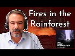 The Impossible Economics of a Disappearing Amazon | André Guimarães | TGS 151