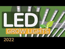 LED Grow Lights: Independent Buying Advice