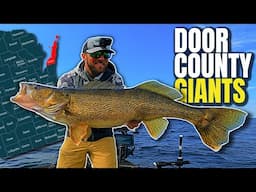 CRUSHING BIG Door County Walleyes on the BEST Summer Walleye Lure!