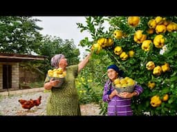 HARVESTING FRESH QUINCE IN THE VILLAGE! GRANDMA MAKING QUINCE JAM AND COMPOTE