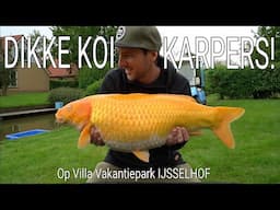 #212 - KARPER Vis VAKANTIE & Koi KARPERS Uitzetten Op VAKANTIEPARK IJSSELHOF! - Robert Grootenboer