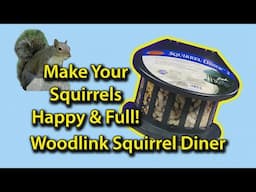 Woodlink Squirrel Diner Feeder! Make Your Squirrels Happy & Full!