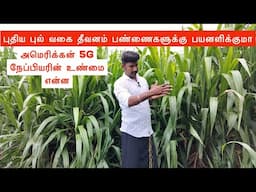 American 5G Napier grass உண்மை என்ன