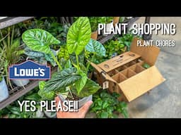 New Houseplants for an Affordable Price! 😍✨🪴 Plant Shopping at Lowe’s & Plant Chores!