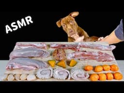 ASMR MUKBANG PITBULL EATING RAW FOODS