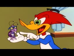 Woody vs the Cockroach | 1 Hour of Woody Woodpecker Full Episodes