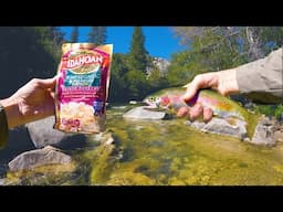 Eating Whatever We Catch at a Mountain River! (Trout Catch & Cook!)