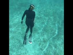 Spearfishing Crystal Clear Water for Lobster and Fish