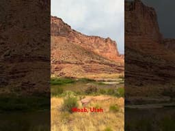 The Best Motorcycle Road In The World Moab Utah 128 West #shorts