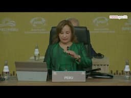 CE speaks at APEC meetings (17.11.2024)