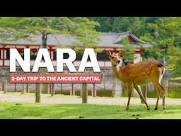 Essentials of NARA | 2-Day Trip | japan-guide.com