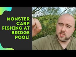 Carp Fishing At Bridge Specimen Pool Baden Hall Fishery | Session 7 | 2020