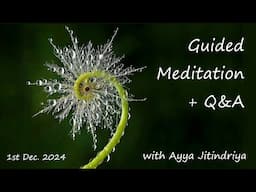 Guided Meditation + Q&A with Ayya Jitindriya ~ Sunday 1st December @ 7am AEDT