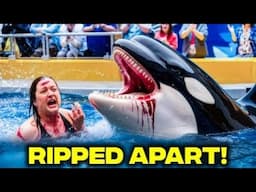 This RECENT Orca Attack On A Female Trainer Left The World STUNNED