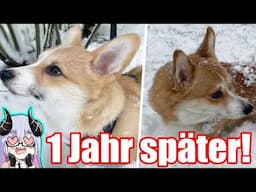 1 Jahr später!