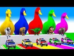 5 Giant Duck Cartoon,Cow,Mammoth,Elephant,Lion,Tiger Paint Wild Animals Crossing Fountain Animation