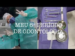 COMO FOI MEU 6º PERÍODO DE ODONTOLOGIA