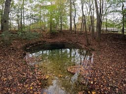 Exploring Red Clay State Historic Site | The Eternal Flame, The Blue Hole & More