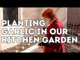 Planting Garlic in Our Kitchen Garden