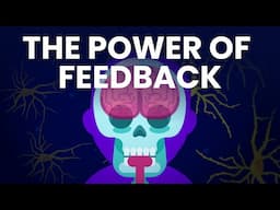 How Feedback Loops Control Everything Around You!