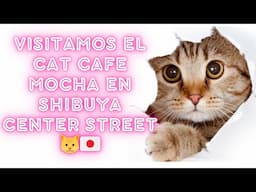 "Visitamos el Cat Cafe MOCHA en Shibuya Center Street 🐱🇯🇵"