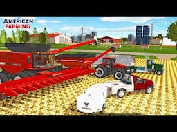 BIG CORN HARVEST ON THE CATTLE FARM! (NEW GRAIN CART & 16 ROW CORN HEAD!) | AMERICAN FARMING