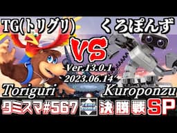 【スマブラSP】タミスマSP567 決勝戦 TG(トリグリ)(バンジョー＆カズーイ) VS くろぽんず(ロボット) - オンライン大会