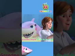 Cocomelon Baby Shark | CoComelon Kids Songs & Nursery Rhymes