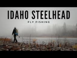 Fly Fishing Van Trip for Fall Steelhead in Idaho