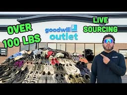 Sourcing 100 items to Flip On Ebay At the Goodwill Bins