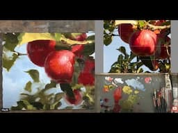 Autumn Apple - Live Oil painting - Part Two