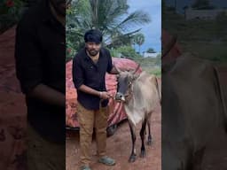 🥰keerthi வேனடாம்…இவ போதும்… #shorts #iamsriharishofficial #youtubeshorts