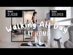 How Much I Walk in a Day on My Walking Pad (Is it Worth It?)