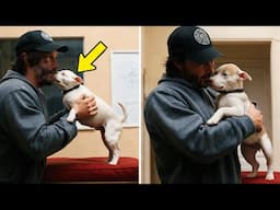 Puppy Reacts When Meeting Rescuer Keanu Reeves, Just Watch What Happens!