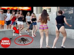 Spider Prank: Compilation Funny Moments. Try Not To Laugh 😂😂😂