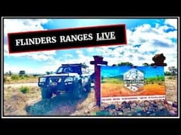 Mount Little Station Q&A Live - [ Flinders Ranges ]