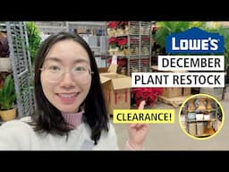 Lowe's Holiday Plant Shopping: Costa Farms Plant Price Increase | Clearance Plant Pots & Stands