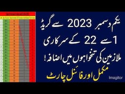 Chart of Increase in Salary All Government Employees Dec 2023  Special Allowance & Wage Rate 2023