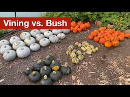 Vining vs Bush Squash