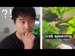 CRAZY Fish Tank Videos Caught Me Off Guard | Fish Tank Review 278