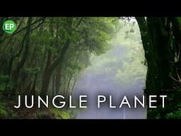 05: Wildlife Documentary: Jungles of the Ocean | Canary Islands Laurel Forests