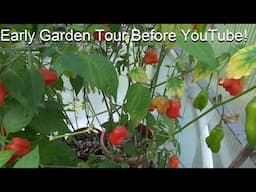 Early Garden Tour Before YouTube! Heirloom Reviews, Peppers, Tomatoes and chickens! : )