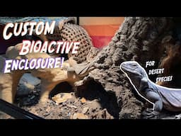 How To Create a Custom Bioactive Desert Reptile Enclosure!