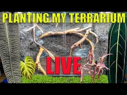 PLANTING a TERRARIUM LIVE!!!