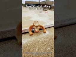 Squishy Monkey Fly’s At Skatepark! #monkey #monke #monkee #squishytoy #squishy #funny